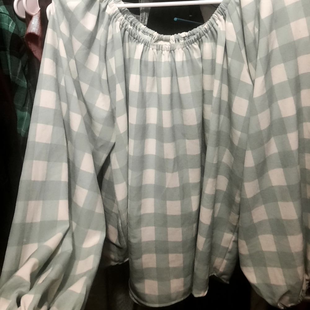 Sylvie Top in Sage Gingham